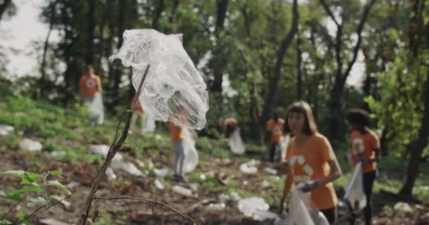 Ung kvinna voulenteer i t skjorta med återvinning symbol ta plast skräp och sätta den i soppåsen. Grupp av olika människor städa offentlig park. Begreppet omsorg om naturen. — Stockvideo