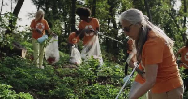 在收集垃圾袋中的垃圾时，戴眼镜的成熟女人在使用垃圾捡拾器。一群穿着T恤衫的志愿者,他们穿着回收利用的标志清洁公园.生态概念. — 图库视频影像