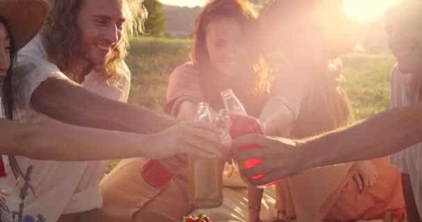 Pessoas alegres batendo palmas com garrafas de vidro com bebida em iluminação solar. Diversos amigos milenares fazendo piquenique e passando um bom tempo juntos enquanto sentados na grama no parque. — Vídeo de Stock