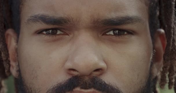 Close up view of african american guy with dreadlocks looking to camera. Headshot of serious young man face with moustache and beard. — Stock Video