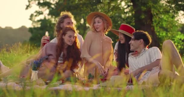 Mutlu genç insanlar içki içerken ve çimlerin üzerinde piknik yaparken gülüp konuşuyorlar. Bir grup arkadaş iletişim kurarken ve parkta otururken birlikte vakit geçiriyorlar. Arkadaşlık kavramı. — Stok video