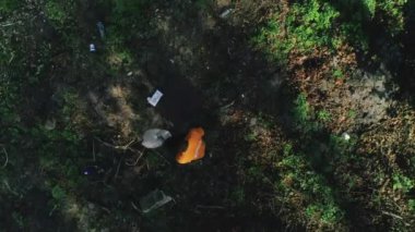 Çevre gönüllülerinin çöp torbasına çöp koyduğu hava aracı görüntüsü. Güneşli bir günde ormanda çöp toplayan bir grup insan. Takım çalışması kavramı, doğa kirliliği.