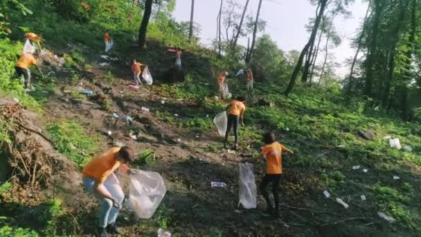 Drone aérien tiré par une équipe de bénévoles mettant de la litière dans un sac poubelle. Diverses personnes recueillant des ordures tout en nettoyant la forêt dans la journée ensoleillée. Concept de travail d'équipe, pollution de la nature. — Video