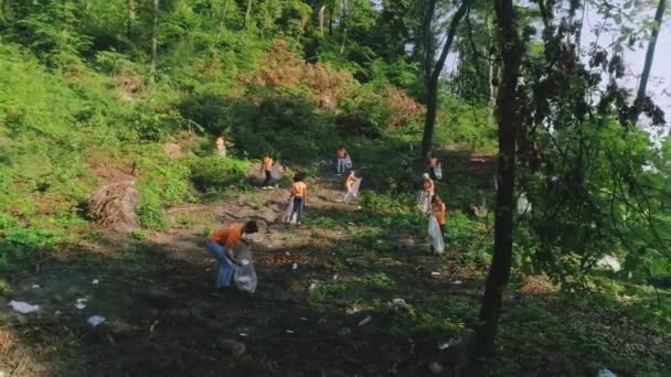Aerial drone view of eco activists putting litter in bin bag. Group of diverse people collecting garbage in forest at sunny day. Concept of teamwork, nature pollution. — Stock Video