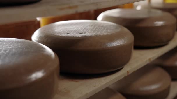 Sýrové hlavy dozrávají na dřevěných policích ve smetaně — Stock video