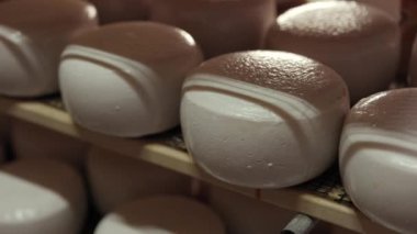 Deponun ahşap raflarında yaşlanan peynir kafalar