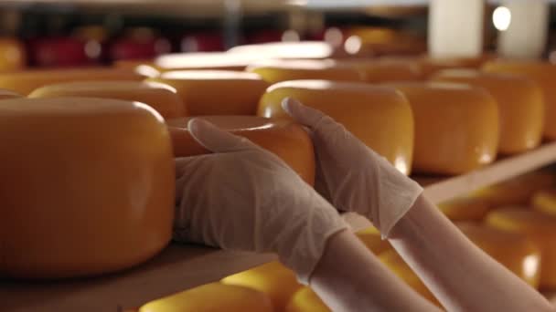 Eldivenli kadın fabrikada peynir durumunu kontrol ediyor. — Stok video