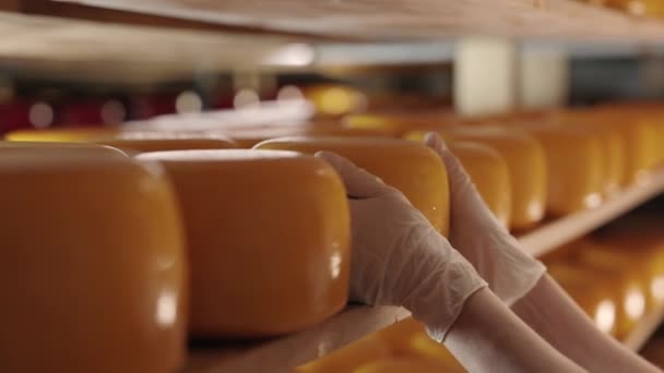 Zbliżenie męskich rąk biorących z półki starzejącą się głowę sera — Wideo stockowe
