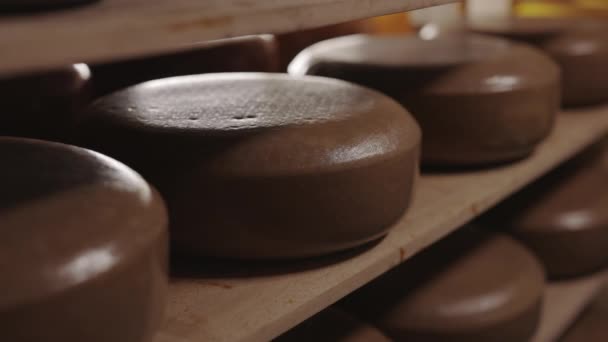 Głowice serowe umieszczone na drewnianych półkach do dojrzewania — Wideo stockowe