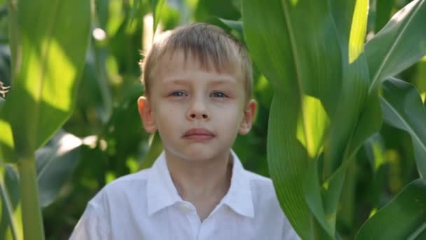 Улыбающийся кавказский мальчик в льняной рубашке позирует на кукурузном поле — стоковое видео