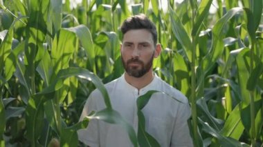 Sakallı beyaz adam yeşil mısır tarlasında gülümsüyor.