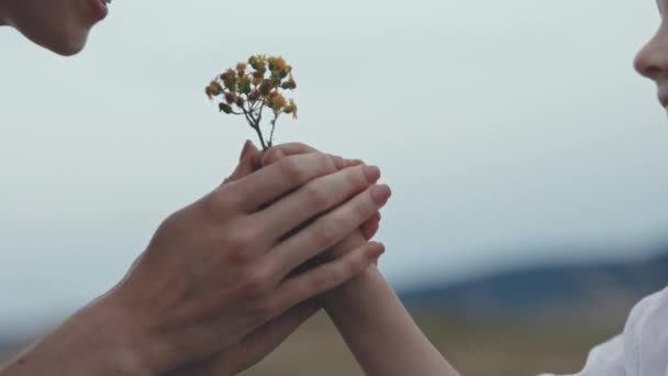Милый маленький мальчик дарит полевой цветок очаровательной матери — стоковое видео