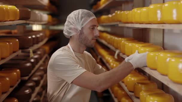 Beyaz adam ahşap raflarda peynir kafalar düzenliyor. — Stok video