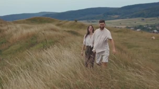 快乐的新婚夫妇手牵手在夏天的田野里散步 — 图库视频影像