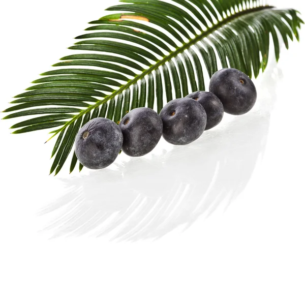 Fresh acai fruit with palm leaves — Stock Image Fresh acai fruit with palm leaves Royalty Free Stock Photos