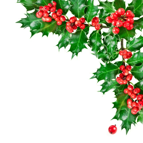 christmas mistletoe decoration stock photo 169 madllen christmas mistletoe decoration stock photo 169 madllen