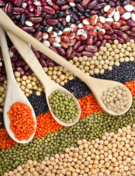 Dry beans with spoons — Stock Image Dry beans with spoons Stock Picture