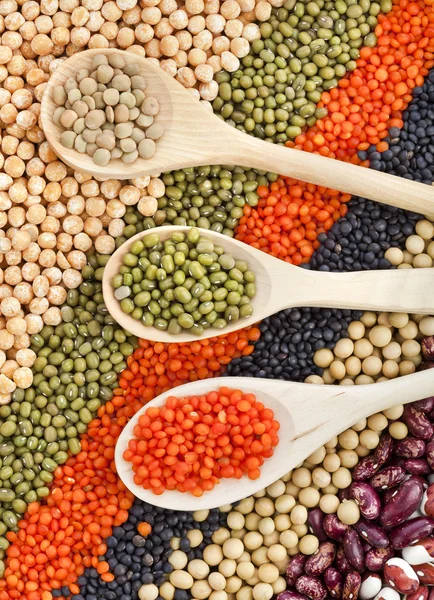 Dry beans with spoons — Stock Image Dry beans with spoons Stock Image
