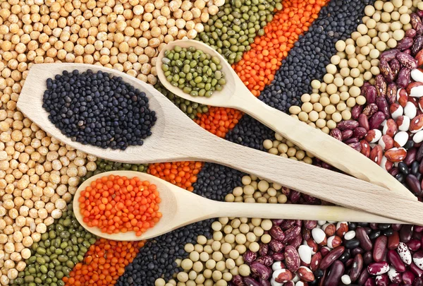 Dry beans with spoons — Stock Image Dry beans with spoons Stock Picture