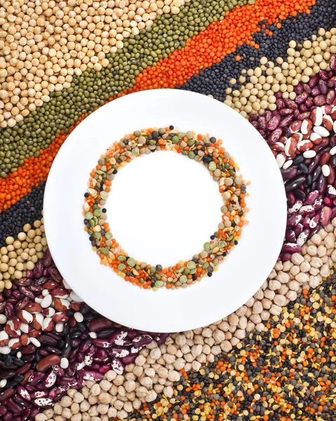 Colorful striped rows of beans — Stock Image Colorful striped rows of beans Stock Image