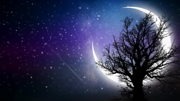 Όμορφο Φεγγάρι Σκοτεινό Φόντο Νυχτερινή Φαντασία Πεφταστέρια Βρόχο Animation Φόντο — Αρχείο Βίντεο