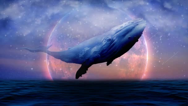 Ballena Océano Hermosa Luna Cielo Nocturno Estrellas Fugaces Fantasía Nocturna — Vídeo de stock