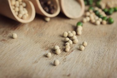 tohum biber ve kurutulmuş