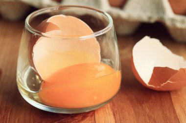 taze yumurta sarısı yumurta kutusu