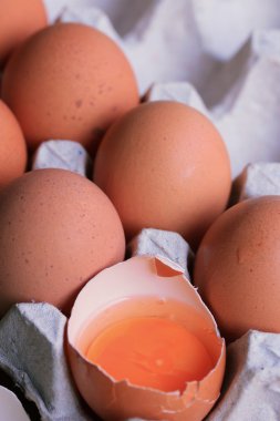 taze yumurta sarısı yumurta kutusu