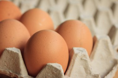 taze yumurta sarısı yumurta kutusu