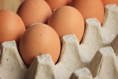 taze yumurta sarısı yumurta kutusu