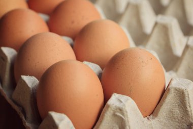 taze yumurta sarısı yumurta kutusu