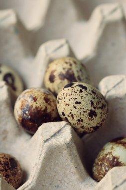 Bıldırcın yumurta ve yumurta sarısı