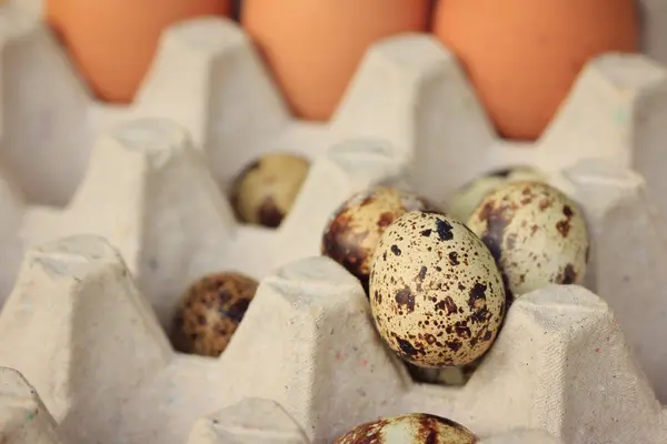 Quail eggs and yolk — Stock Photo, Image