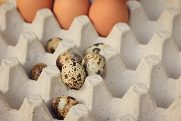 Huevos de codorniz y yema —  Fotos de Stock