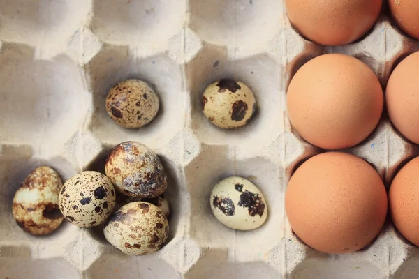 Huevos de codorniz y yema —  Fotos de Stock