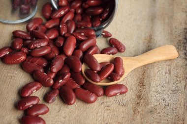 Çok tohum kırmızı fasulye