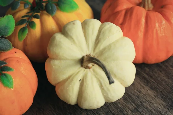 Zucche fantasia bianco e arancione — Foto Stock