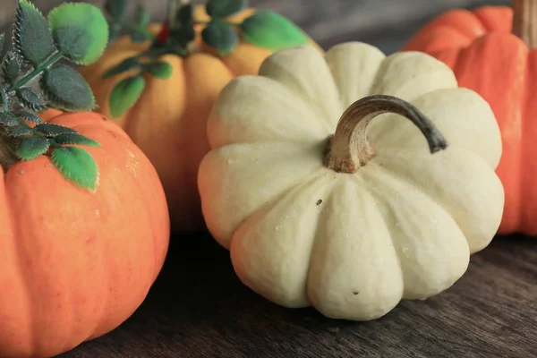 Zucche fantasia bianco e arancione — Foto Stock