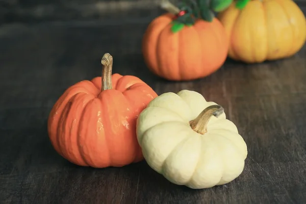 Zucche fantasia bianco e arancione — Foto Stock