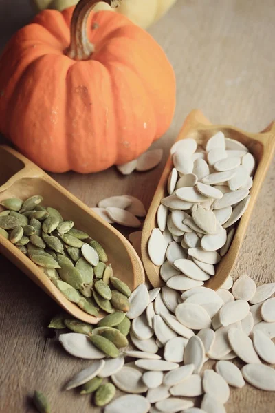 Calabaza seca semillas de lujo —  Fotos de Stock