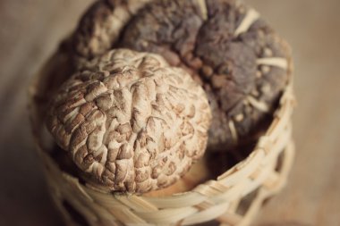 yığın shiitake mantar kurutulmuş