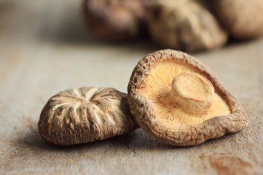 yığın shiitake mantar kurutulmuş