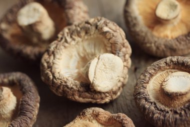 yığın shiitake mantar kurutulmuş