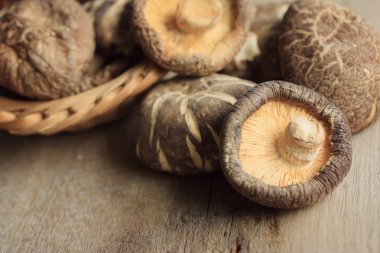 yığın shiitake mantar kurutulmuş