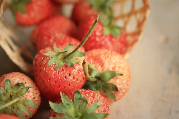 Erdbeere auf einem Strohhaufen — Stockfoto