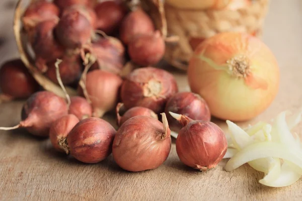 Hodně cibule a šalotka — Stock fotografie