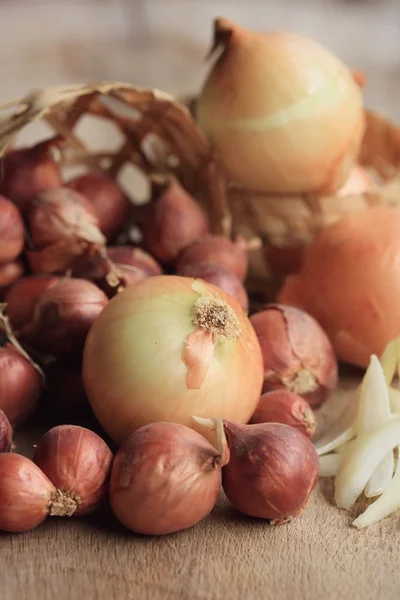 많은 양파, shallots — 스톡 사진