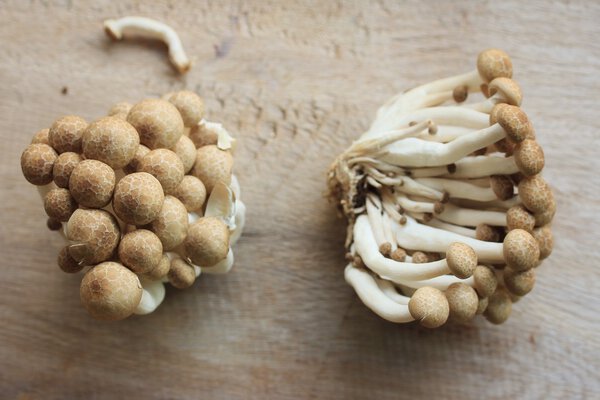 Много черного гриба
