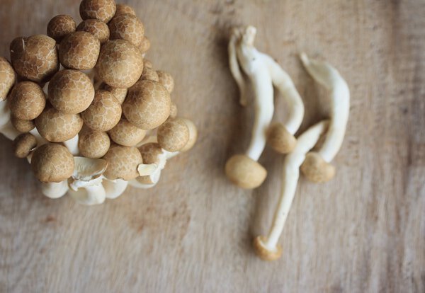 Много черного гриба
